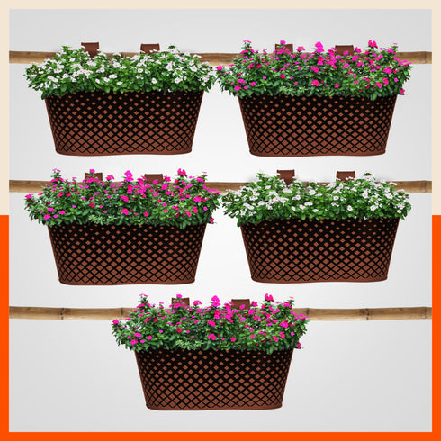 DIA Hanging Metal Pot Holders / Planters for Home / Balcony / Garden | Terra - Set of 5